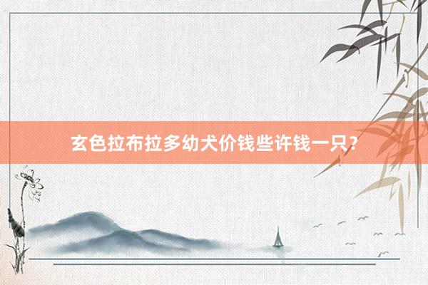 玄色拉布拉多幼犬价钱些许钱一只？