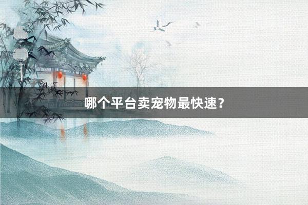 哪个平台卖宠物最快速?