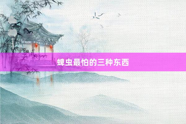 蜱虫最怕的三种东西