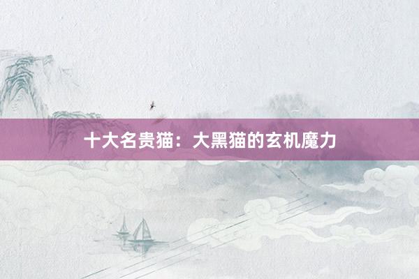 十大名贵猫：大黑猫的玄机魔力