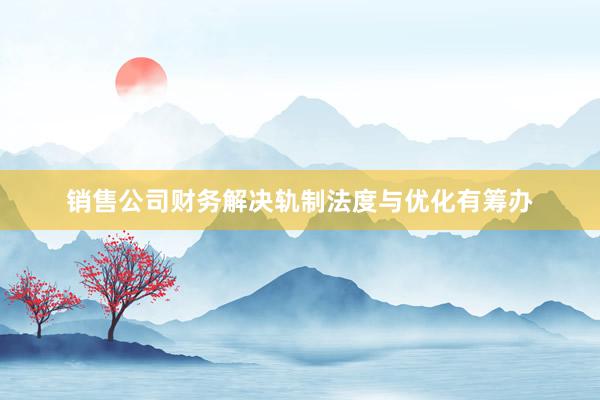 销售公司财务解决轨制法度与优化有筹办