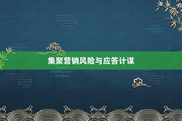 集聚营销风险与应答计谋